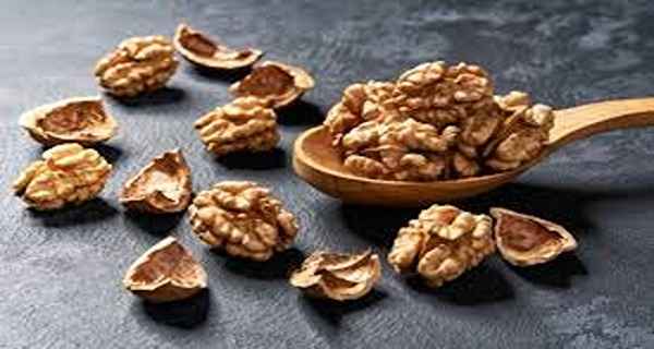 تصویر 3 از فروش مغز گردو تویسرکان + قیمت خرید به صرفه